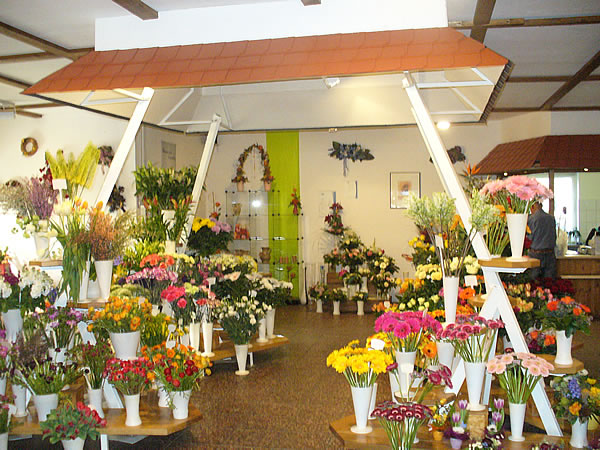 Floristik