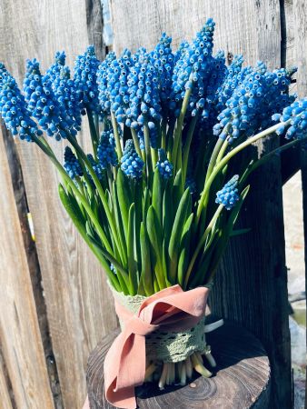 Strau&szlig; mit Traubenhyazinthen