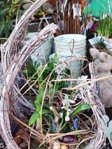 Osternest mit Blaustern und Muscari