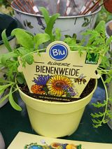 Bienenweide