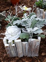 bepflanzte Holzschale mit Silberblatt und Wachsrose zum Totensonntag