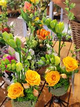 bepflanzte Ostereier mit Freesien und kleinen, gelben Rosen